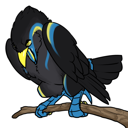 Kaurphyt Raven